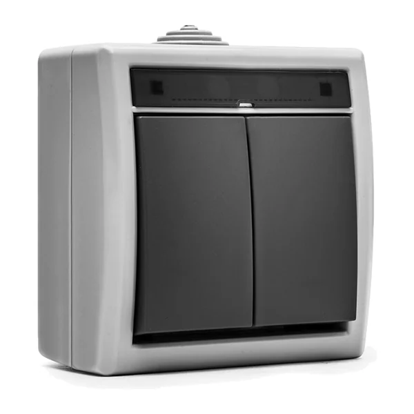 19076 — Double switch moisture-resistant 10A 250V IP55 - grey Aquant 55 series